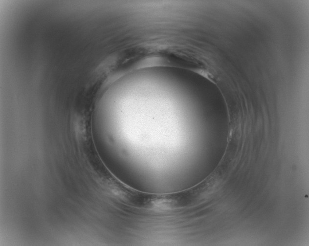 X0000067500268200604071234