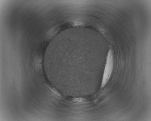 X0000067500269200604071234