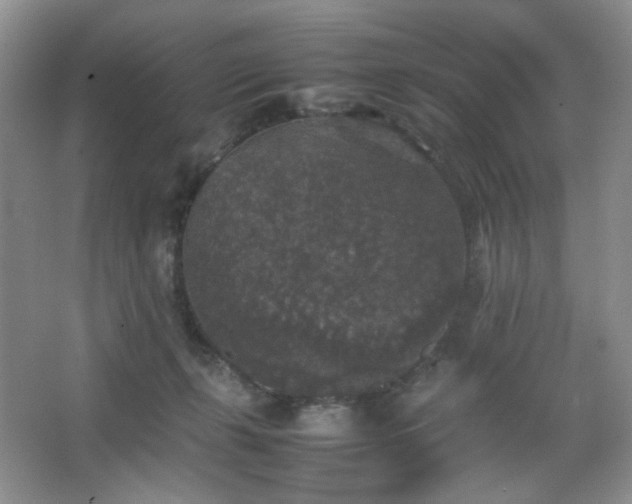 X0000067500271200604071234