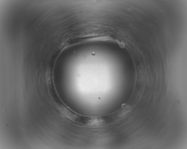 X0000067500274200604071234