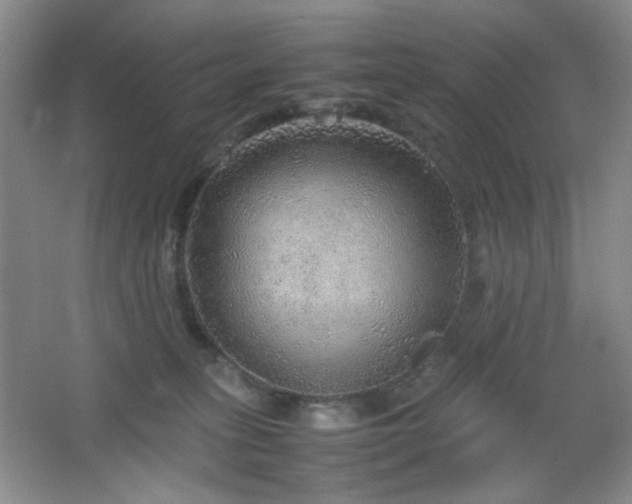 X0000067500275200604071234