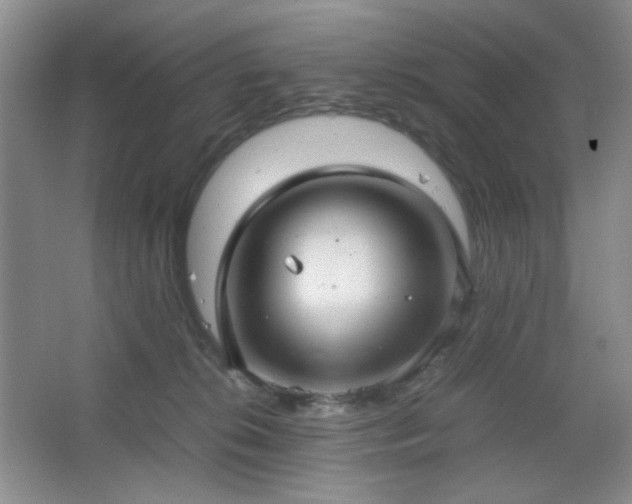 X0000067500276200604071234