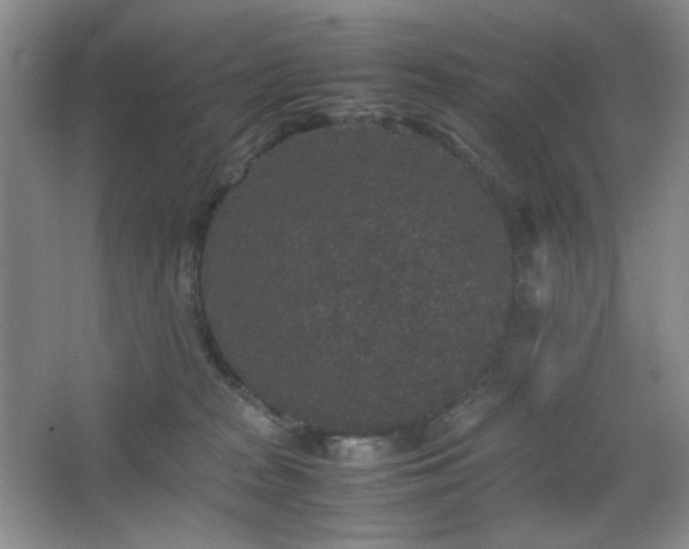 X0000067500277200604071234