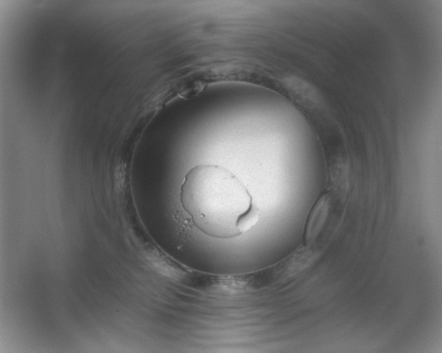 X0000067500278200604071234