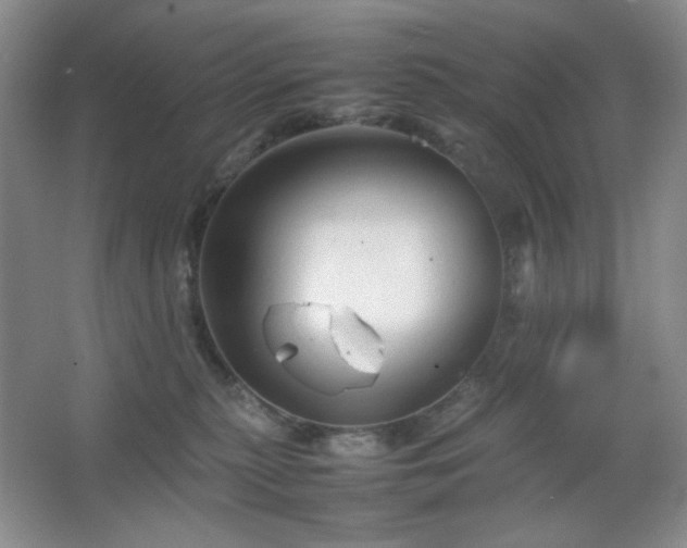 X0000067500279200604071234