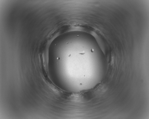 X0000067500280200604071234