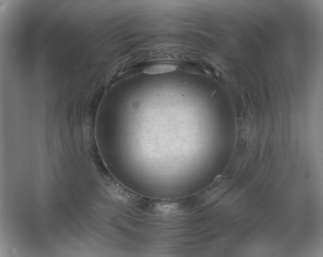 X0000067500283200604071234