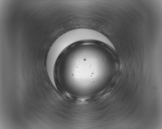 X0000067500287200604071234