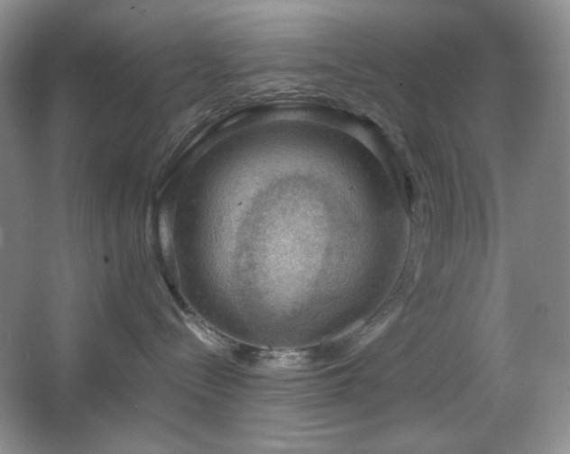 X0000067500288200604071234