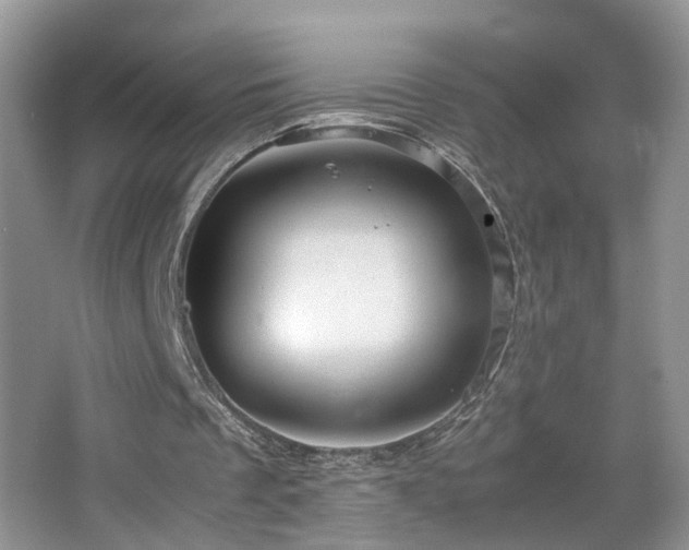 X0000067500289200604071233