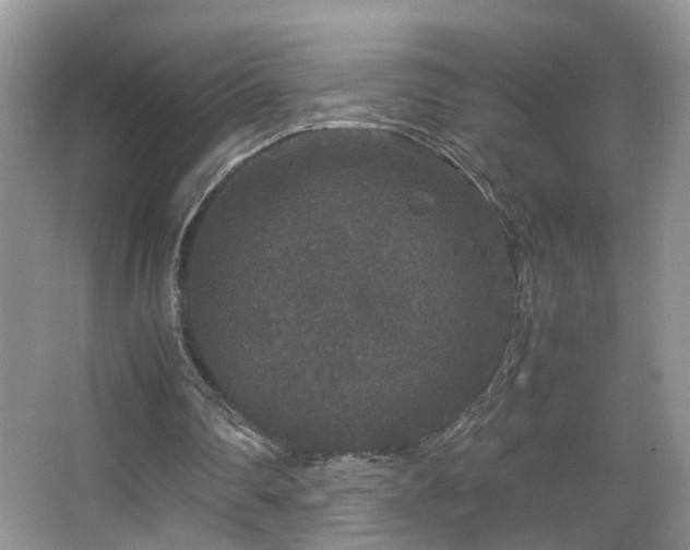 X0000067500290200604071233