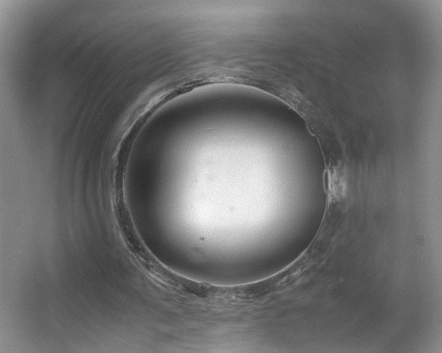 X0000067500291200604071233