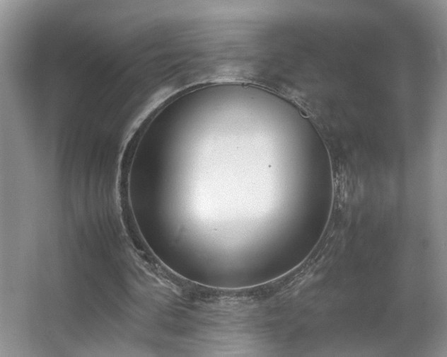 X0000067500292200604071233