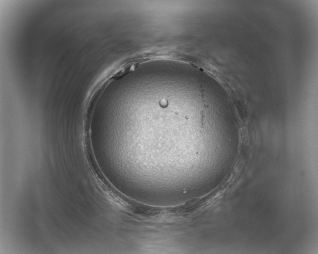 X0000067500293200604071233