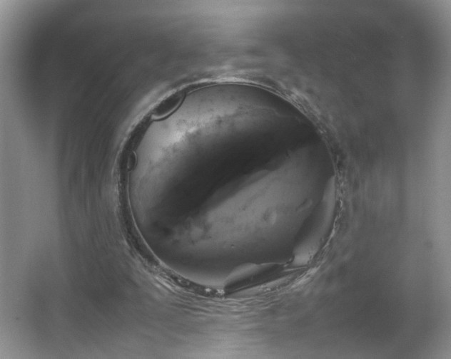 X0000067500295200604071233