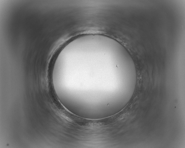 X0000067500296200604071233