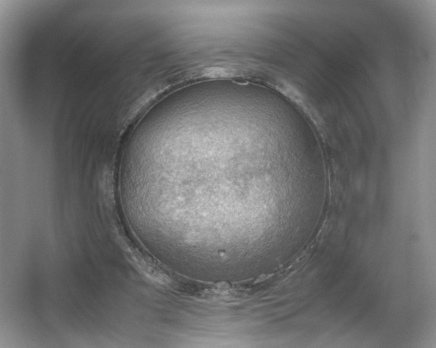 X0000067500297200604071233