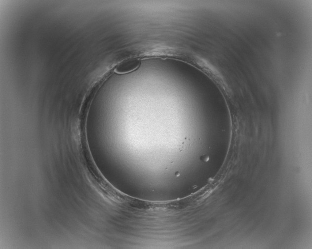 X0000067500298200604071233