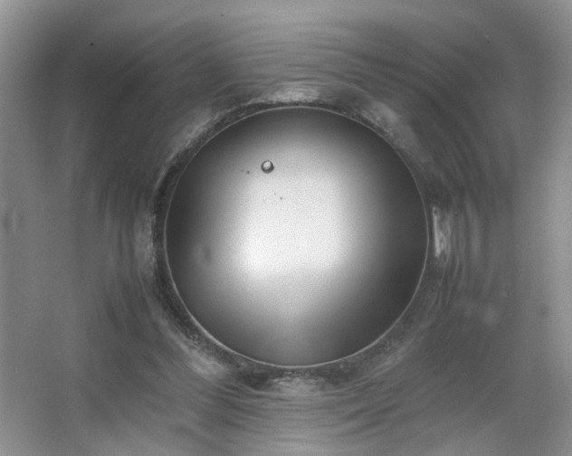 X0000067500300200604071233