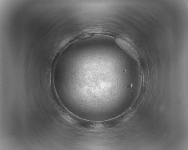 X0000067500301200604071233