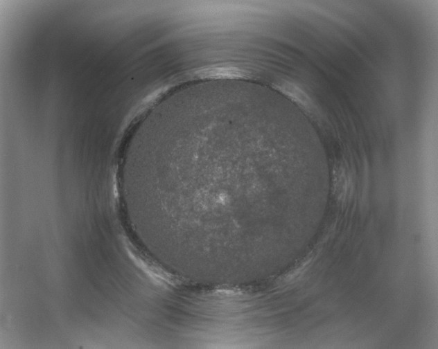 X0000067500302200604071233