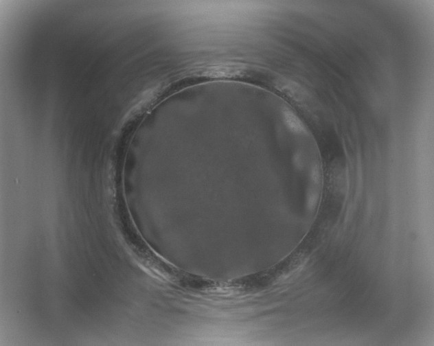 X0000067500303200604071233