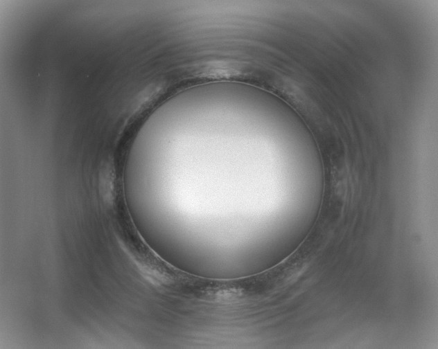 X0000067500304200604071233