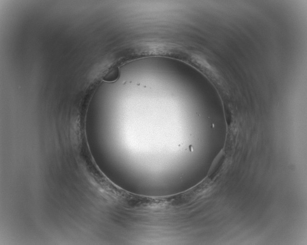 X0000067500306200604071233