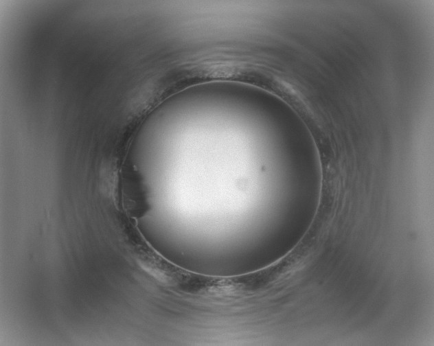 X0000067500307200604071233