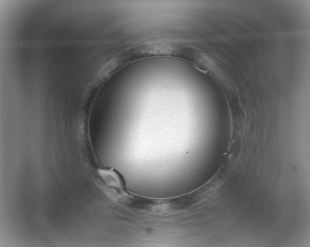 X0000067500309200604071233