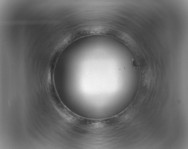 X0000067500310200604071233