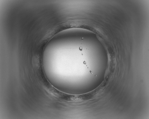 X0000067500311200604071233