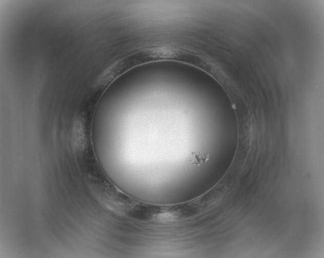 X0000067500312200604071233