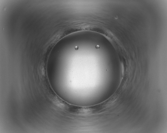 X0000067500313200604071233