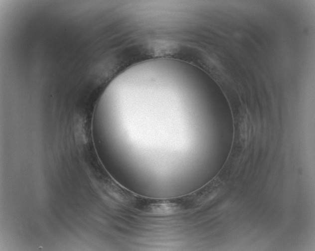 X0000067500316200604071233