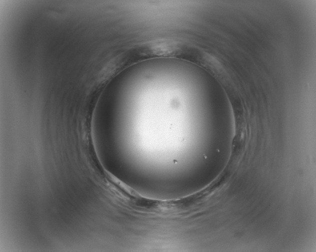 X0000067500317200604071233