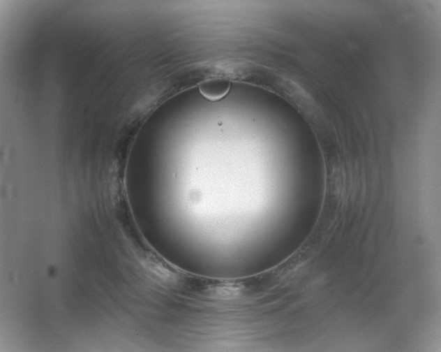 X0000067500318200604071233