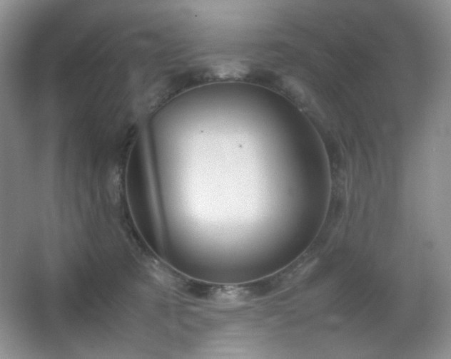 X0000067500321200604071233