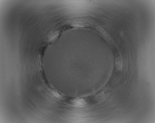 X0000067500322200604071233