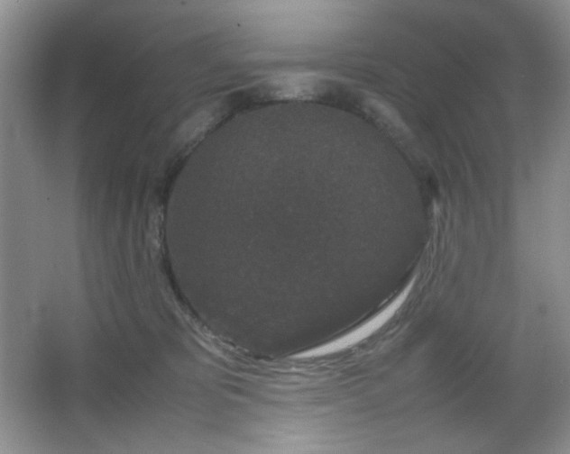 X0000067500325200604071233