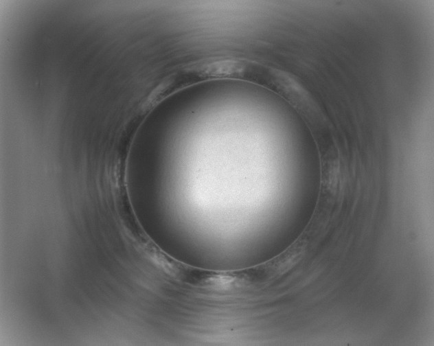 X0000067500326200604071233