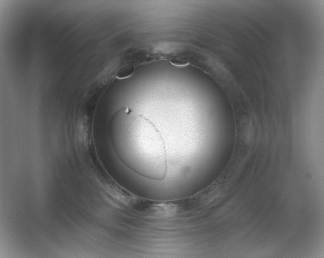 X0000067500328200604071233