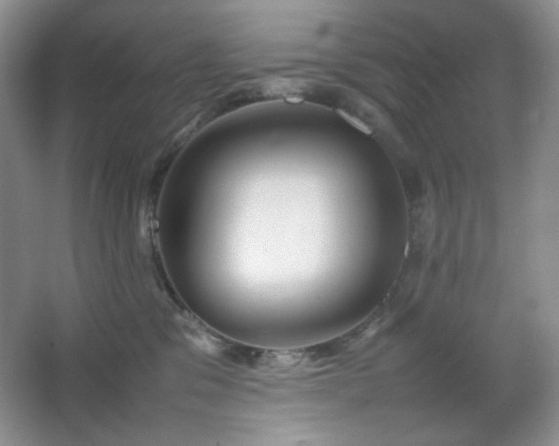 X0000067500329200604071233