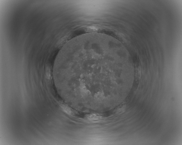 X0000067500331200604071233