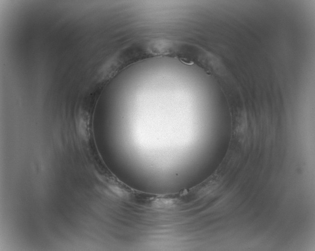 X0000067500332200604071233