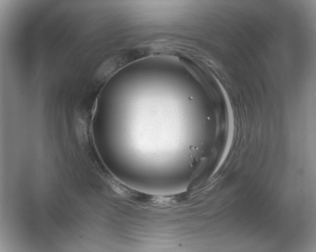 X0000067500333200604071233