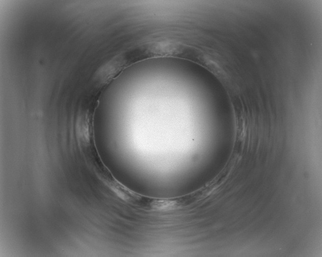 X0000067500334200604071233