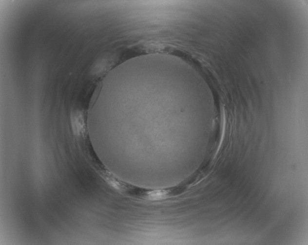 X0000067500335200604071233