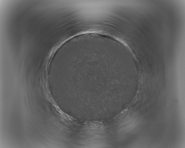 X0000067500337200604071232