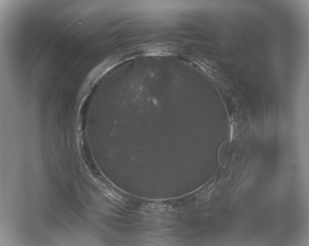 X0000067500339200604071232